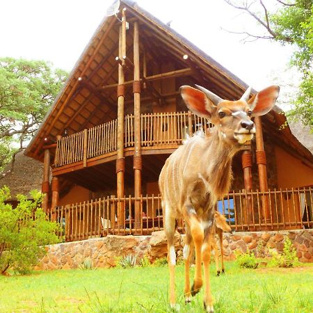 Kololo Game Reserve Vaalwater Eksteriør bilde