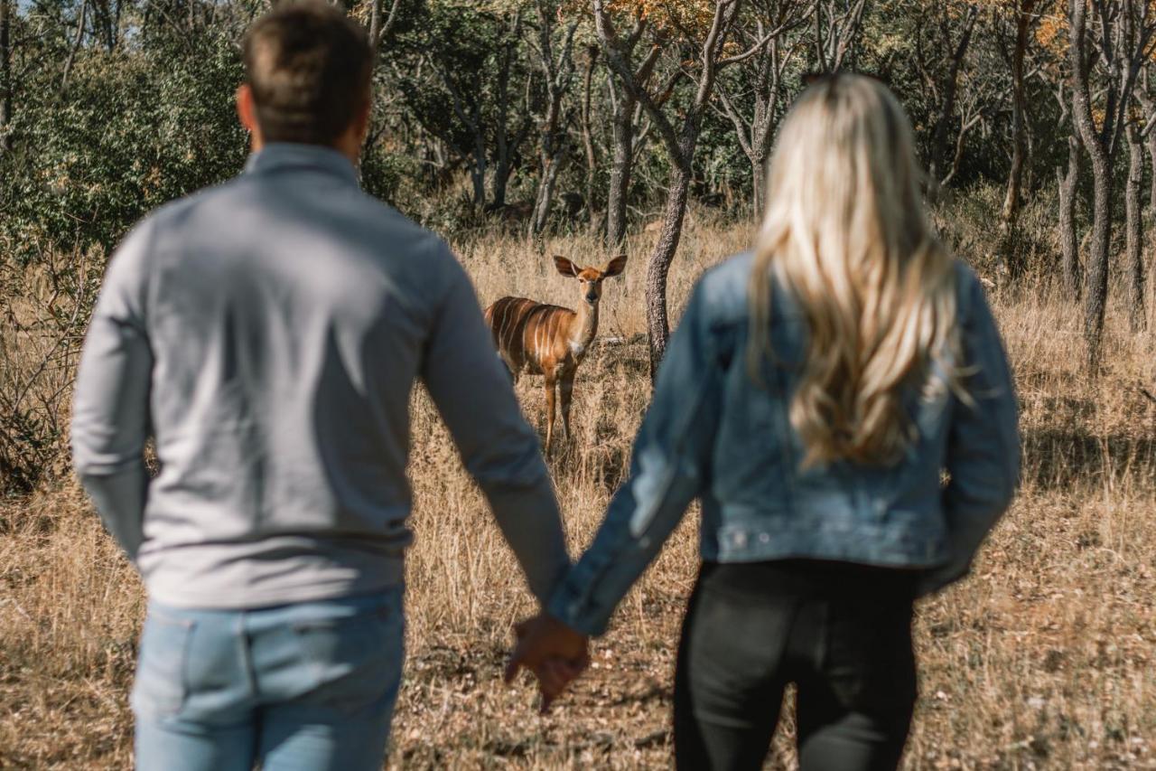 Kololo Game Reserve Vaalwater Eksteriør bilde