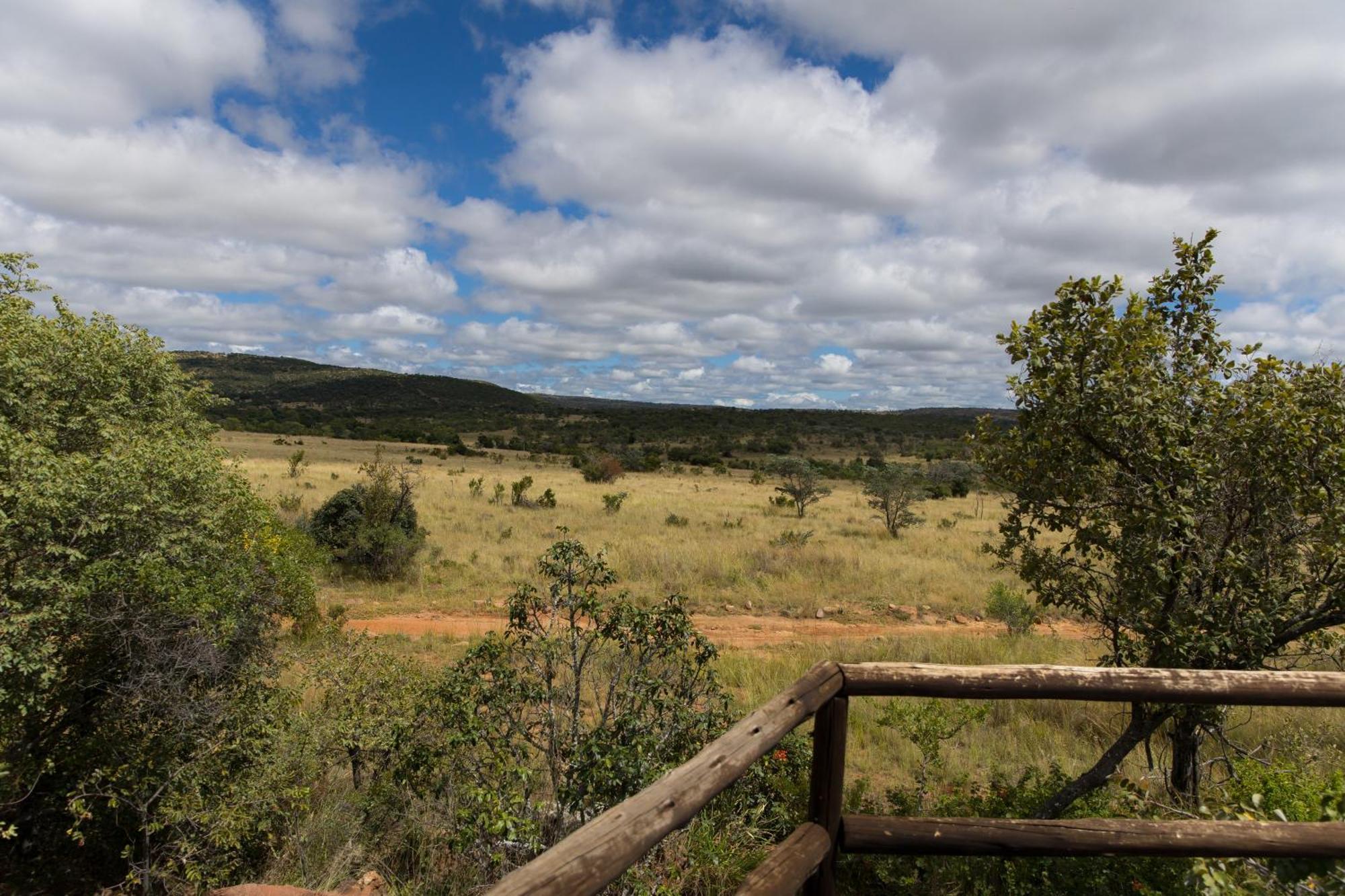 Kololo Game Reserve Vaalwater Eksteriør bilde