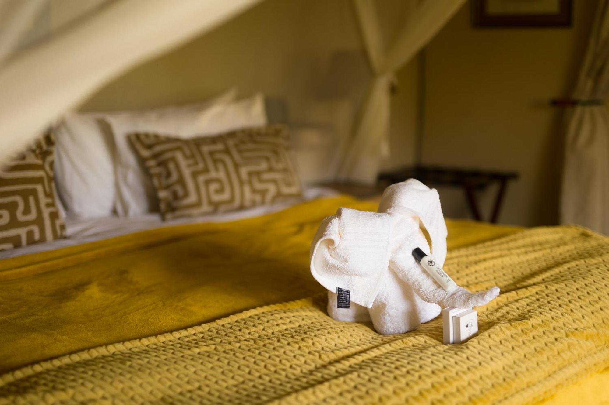 Kololo Game Reserve Vaalwater Rom bilde