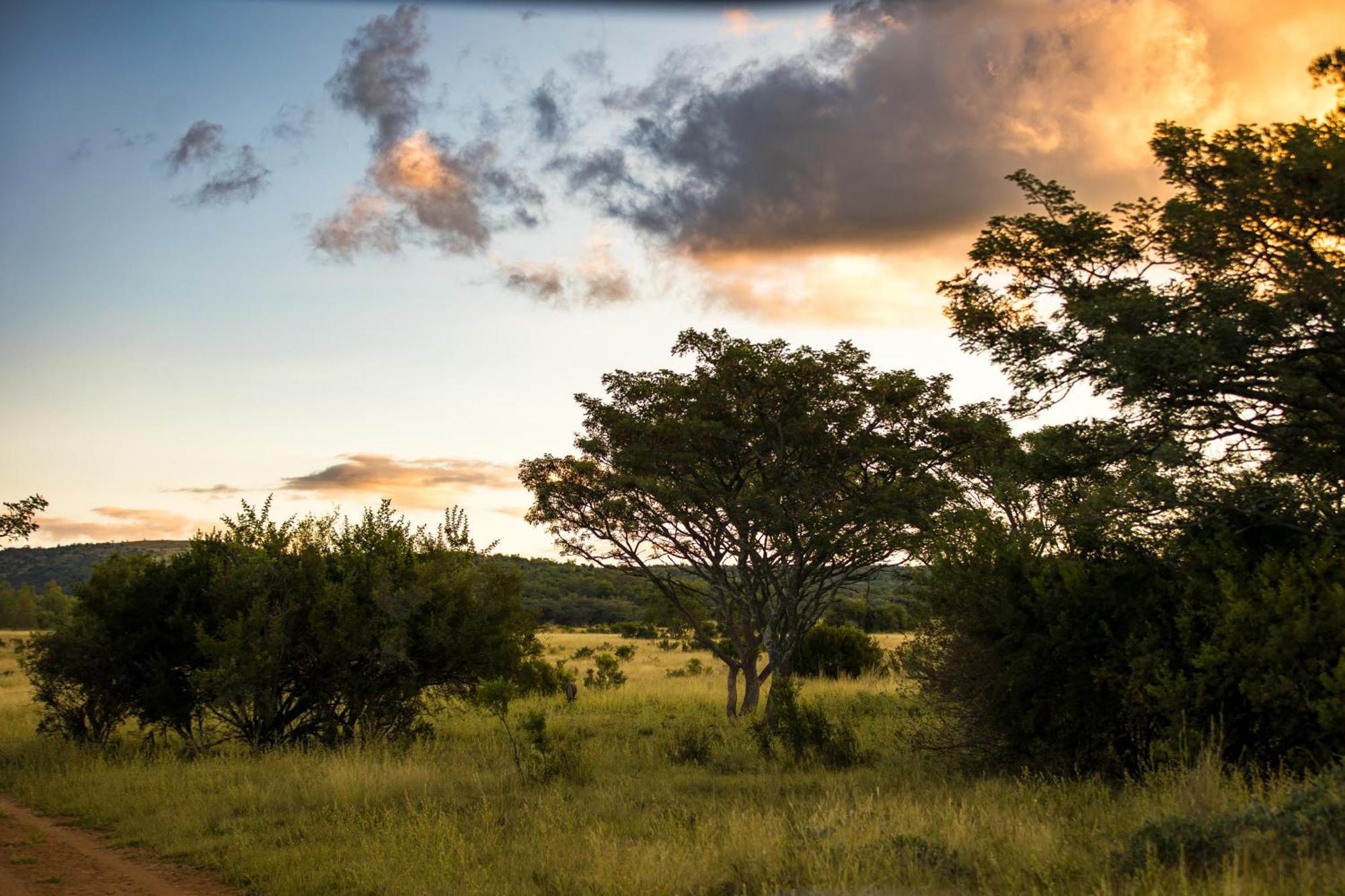 Kololo Game Reserve Vaalwater Eksteriør bilde