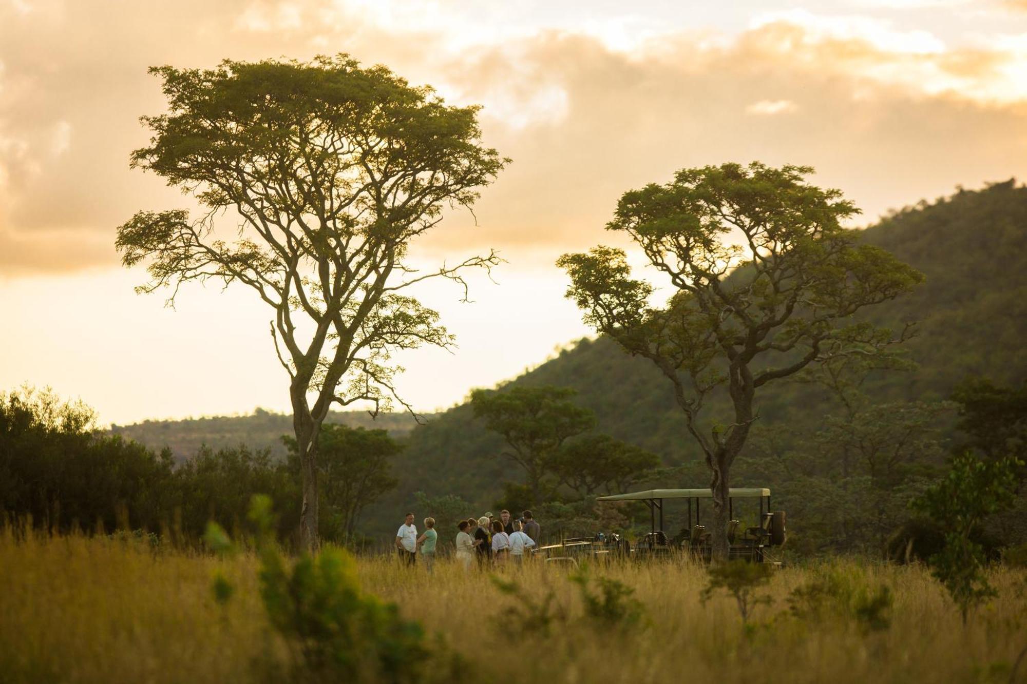 Kololo Game Reserve Vaalwater Eksteriør bilde