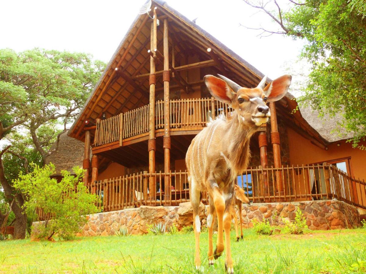 Kololo Game Reserve Vaalwater Eksteriør bilde